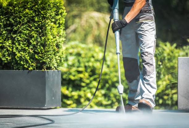 Best Roof Washing  in Alton, TX