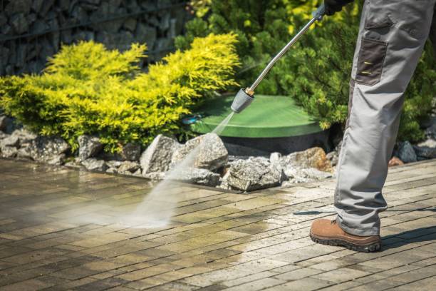 Best Solar Panel Cleaning  in Alton, TX