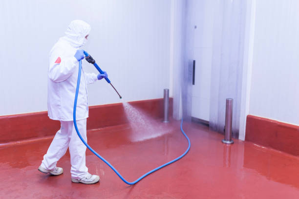 Best Rust Removal  in Alton, TX