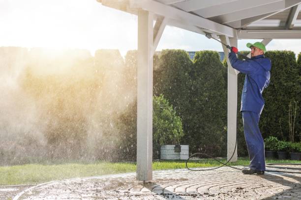 Best Pool Deck Cleaning  in Alton, TX