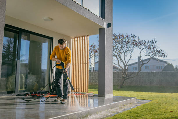 Best Gutter Cleaning  in Alton, TX