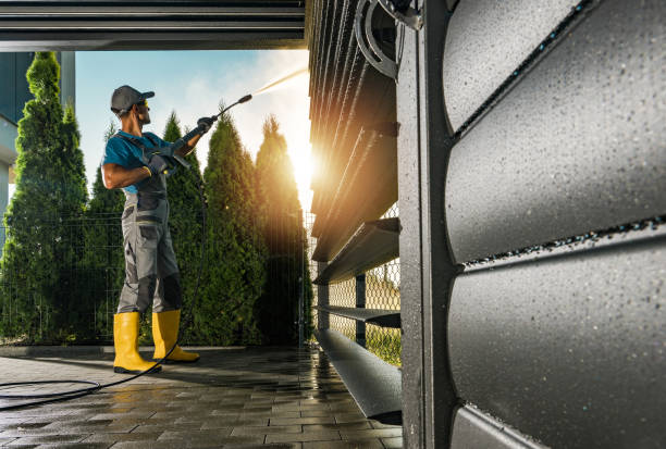 Best Patio and Deck Pressure Washing  in Alton, TX